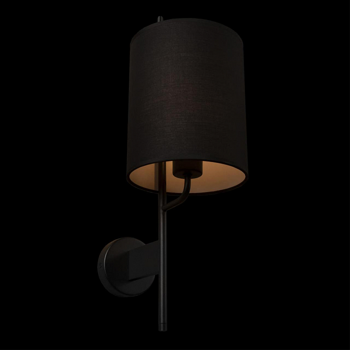 Светильник LOFT IT 10253W/A Black